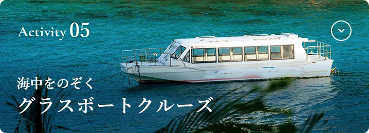 Activity05 海中をのぞくグラスボートクルーズ