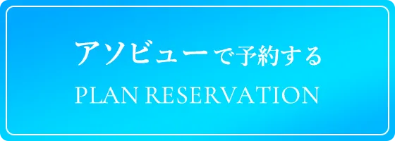 アソビューで予約する PLAN RESERVATION