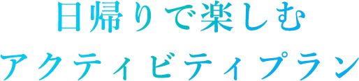 日帰りで楽しむアクティビティプラン